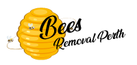 Bees Removal Perth